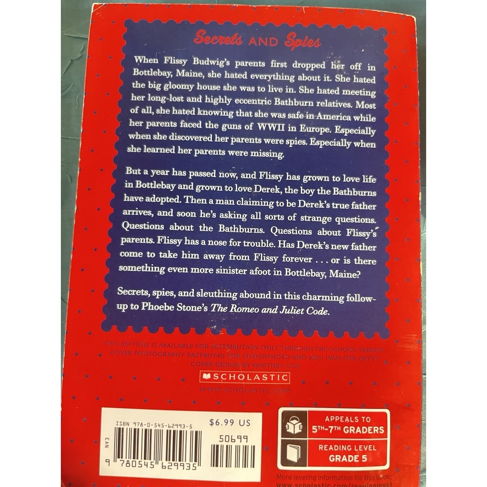Romeo Blue Phoebe Stone Paperback Novel Ages 9-12 YA Fiction Scholastic - Picture 3 of 4